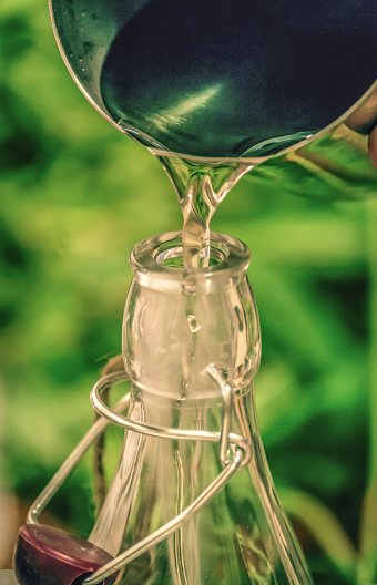 Foraging Event
