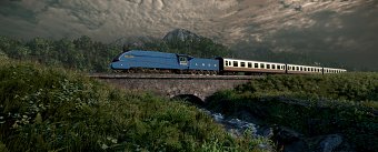 Mallard