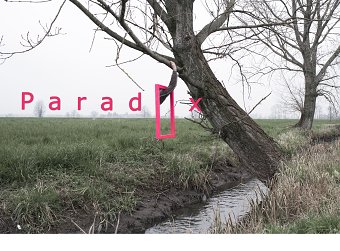 Paradox