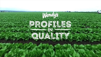 Wendy’s. Lettuce From Start To Fresh