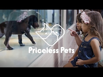 Priceless Pets