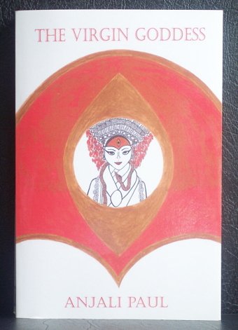 Book Cover - Design, Illustration and Copy by Anjali Paul