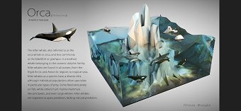 Orca