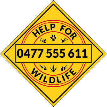 Branding Package for WIldlife Rescue Network