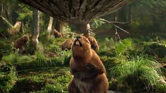 Żubr Beavers