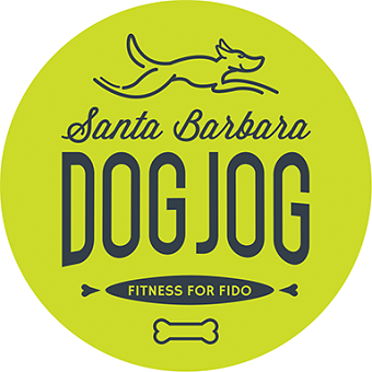 Logo Designs