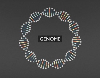 BBC Knowledge - DNA Explainer