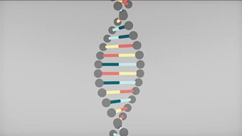 BBC Knowledge - DNA Explainer