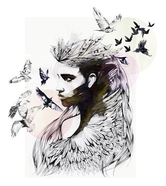 Warrior Illustrations