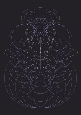 PERSONAL PROJECT -  PRINT / ILLUSTRATION