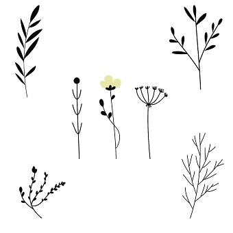 Various Illustrations