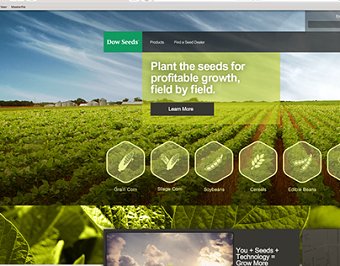 Some web design IV