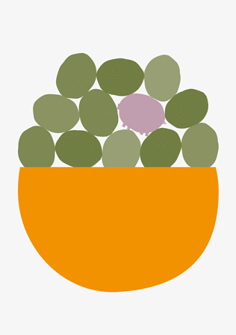Green eggs and ham