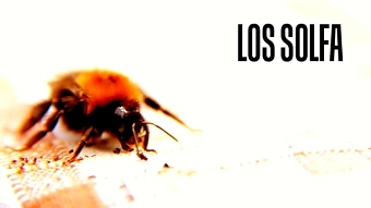LOS SOLFA - ID  ¨Abeja¨
