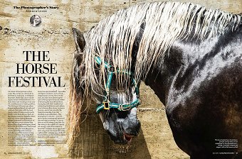 JEREZ HORSE FESTIVAL