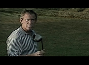 bush