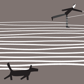Dog leads...