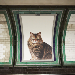 The Citizens Advertising Takeover Service