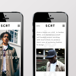 SCRT website concepts