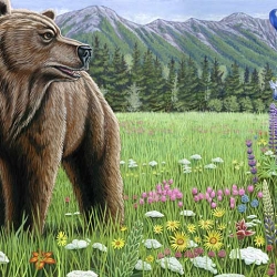 Illustration