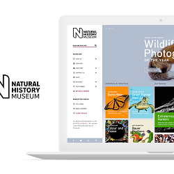 National History Museum Design Concept