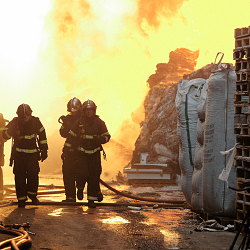 Los Bomberos de Jerez de La Frontera