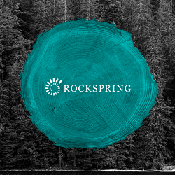 Rockspring - Development