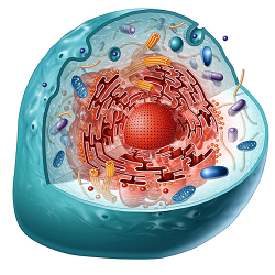 Medical and Natural  Science Examples