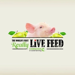 World's First Live Feed