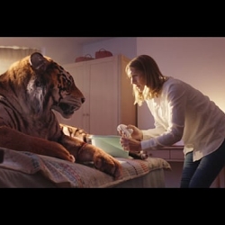 A Tiger in Suburbia
