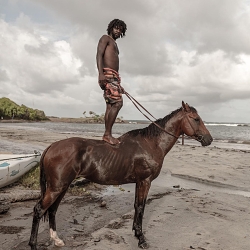 St Lucian beach horses
