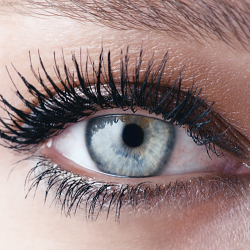 Manhattan Supercurler Mascara