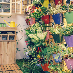 Plantaria - The first Green Ambulance :)