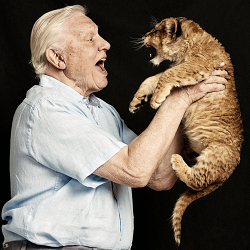 Sir David Attenborough