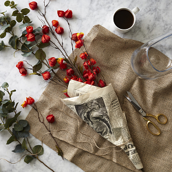 AW16 for John Lewis Partnership