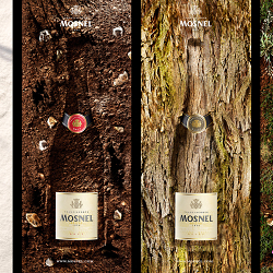 Mosnel Franciacorta 1836 CGI Ads