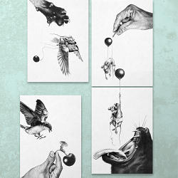 Pencil illustrations