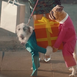 Dogs