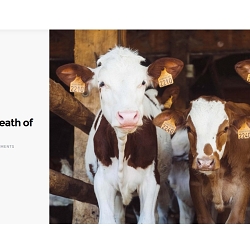 Veganism: The death of dairy?