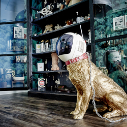 Designing a new home for BMB