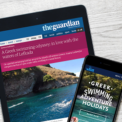 The Big Blue Swim Web Development