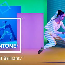 Pantone: Brand Strategy & Color of the Year (2014-2016)