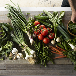 A story-driven web experience for Amy’s Kitchen