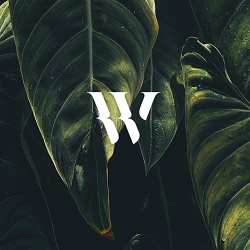 WYLDE