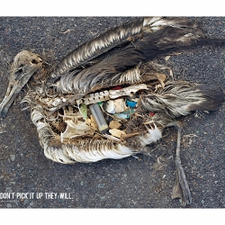 IF YOU DON'T PICK IT UP, THEY WILL.