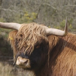 Wildlife Trust of South & West Wales - The Reserves