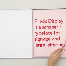 Precis Display