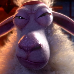 Shifu Sheep