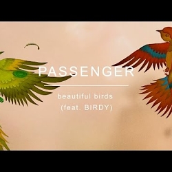 Passenger feat. Birdy - "Beautiful Birds"