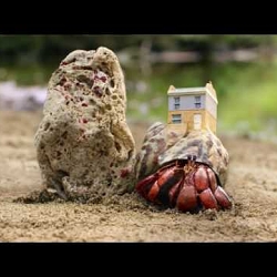 Crab World